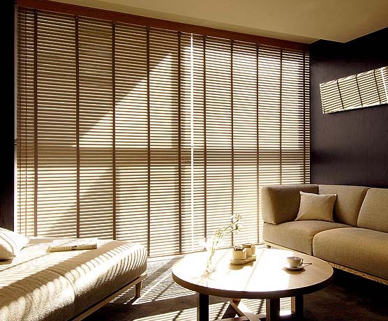 Venetian Blinds