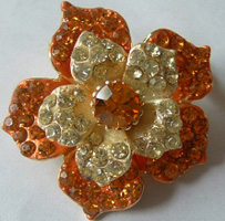 brooch