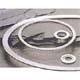 RS-5001 Spiral wound gasket 