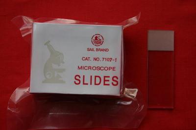 Microscope Slides And Cover Glass