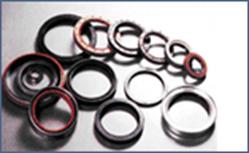  Oil Seal