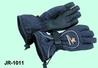 skiing glove(1011)