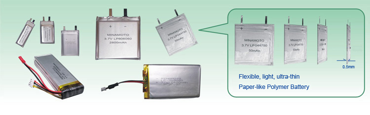 Minamoto Lithium polymer battery, li-polymer