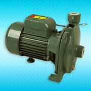 Automotive oil/fuel/water pumps