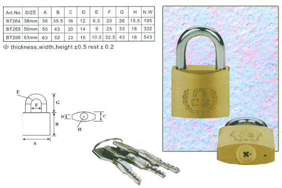 CROSS SLOT VERTICAL BRASS PADLOCK 