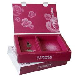 2011 Fashionable Gift Box and Rigid Box