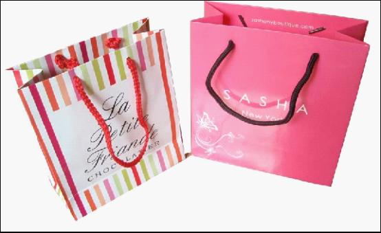 2011 Fashionable Paper Bag & Gift Bag