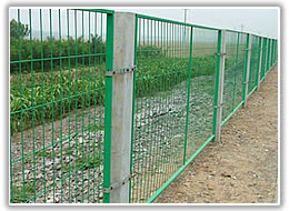 hexagonal wire mesh