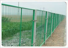 wire mesh fence