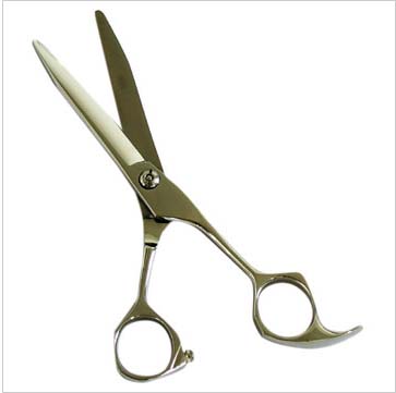 Cutting Scissors 