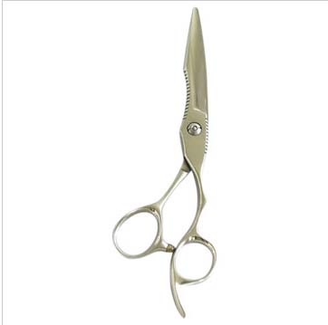 Cutting Scissors 