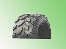 tyre mold