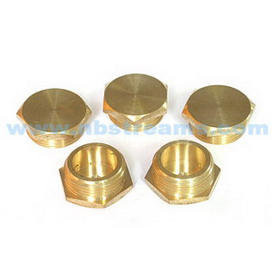 Brass pipe fitting