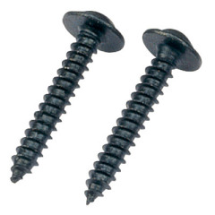 Machine Screw