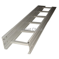 Ladder Straight Cable Tray