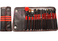 Professional Brush Set