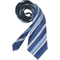 Striped Woven Silk Necktie