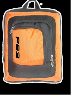 PS3 Console bags