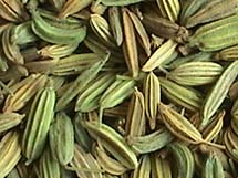 FENNEL SEEDS