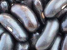 KIDNEY BEANS