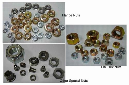 steel nuts,china