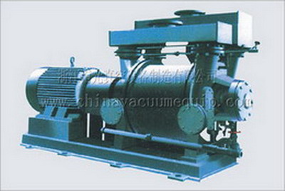 2BE series liquid ring vacuum pump 