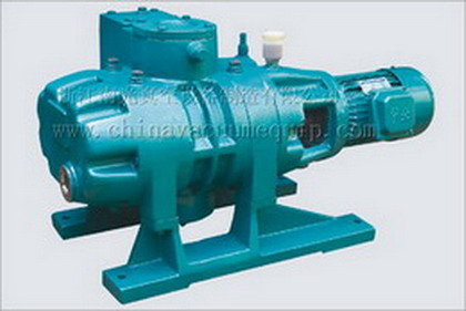 Roots vacuum pump series 