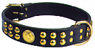 pet collar