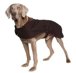 pet coat