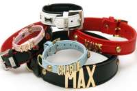 pet collar