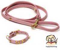 pet collar