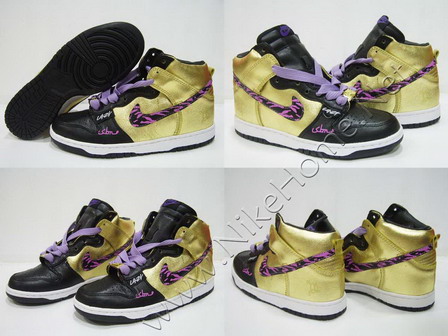 Dunk SB High HOTEST