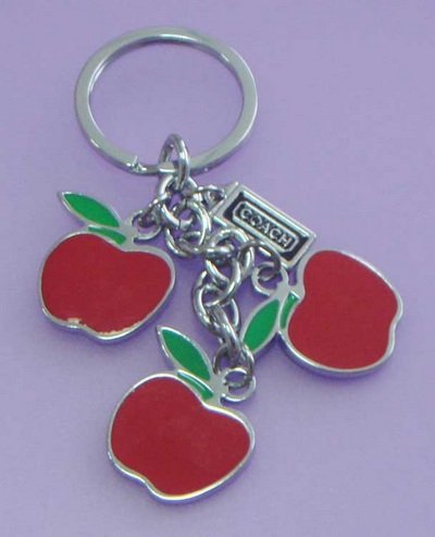 Metal Key Chain/Apple Key Chain