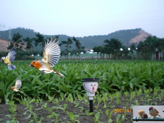 Solar Bird Repeller supplier in china