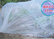 Insect Screen,Mosquito net