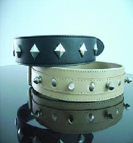 Pet Collar