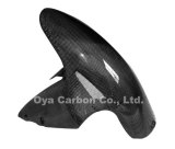 Ducati 1098 Front Fender