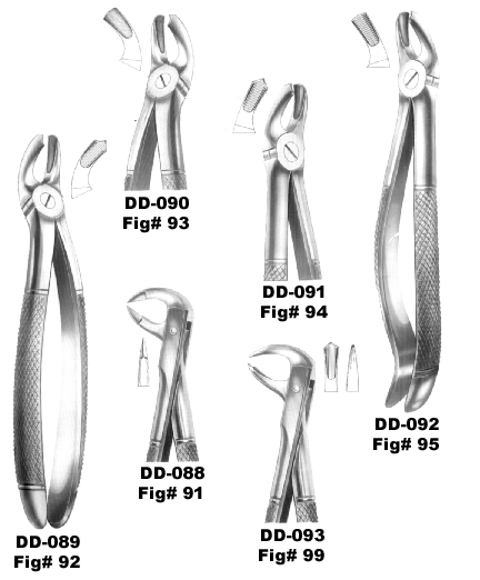 Extracting Forceps