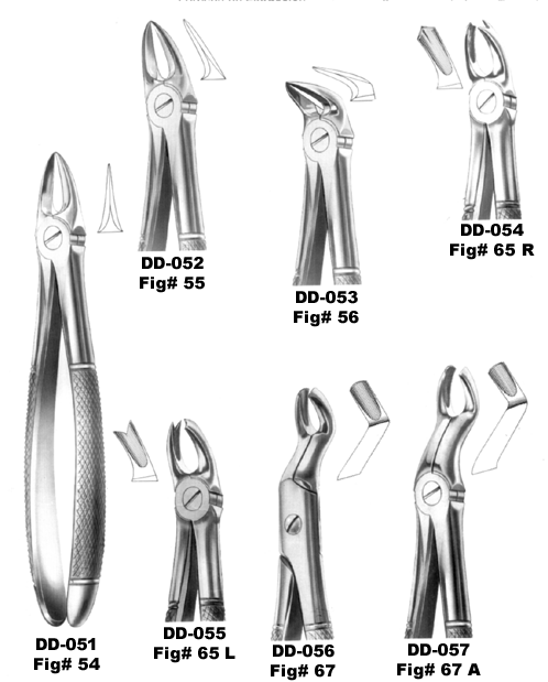 Extracting Forceps