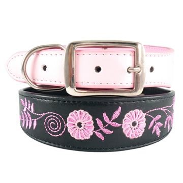 Dog Collar (PPE 003)