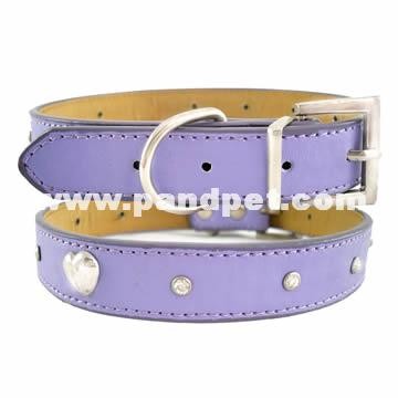 dog collar(PPF060)