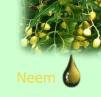 Neem oil,neem oil cake,neem oil organic fertilizer