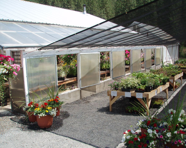 Greenhouse NS 004