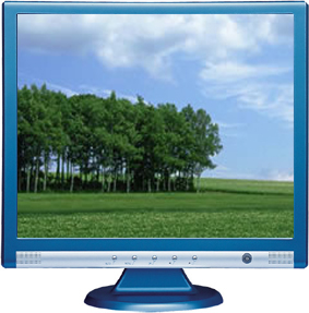 LCD MONITOR 