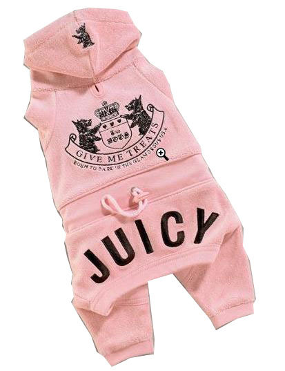 Juicy dog clothes