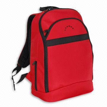 Computer Backpack, Measuring 16.5 Inches