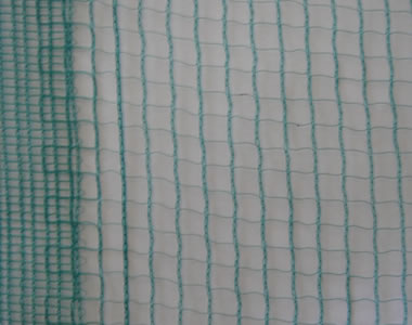 Olive net,plastic net, plastic mesh,UP-G005