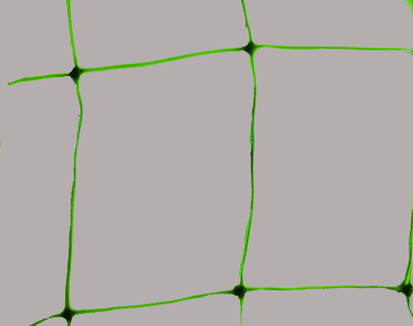 Flower net,plastic net, plastic mesh,UP-S001