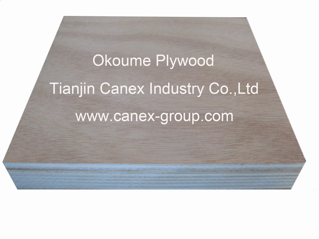 Okoume Plywood