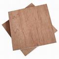 Decrotive Plywood or Fancy Plywood